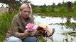 "Nowa Maja w ogrodzie": Maja Popielarska w szkółce lilii wodnych